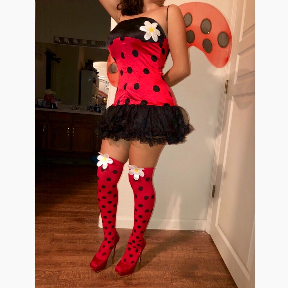 New Ladybug 🐞 Custom